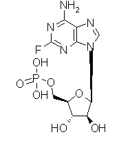 Antimetabolites Antimetabolites