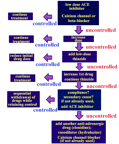 Calcium Channel Blockers - Blood Pressure.