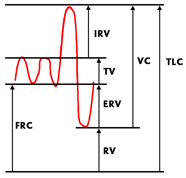 Vital Capacity Normal Range Chart