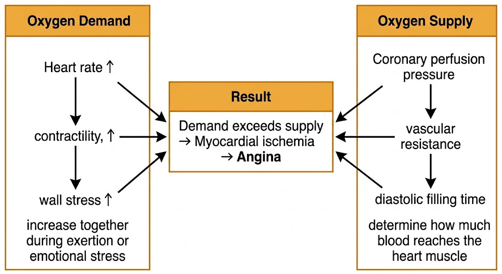 A flow diagram showing oxygen demand factors (heart rate, contractility, wall stress) and oxygen supply factors (coronary perfusion pressure, vascular resistance, diastolic filling time) converging to produce myocardial ischemia when demand exceeds supply.