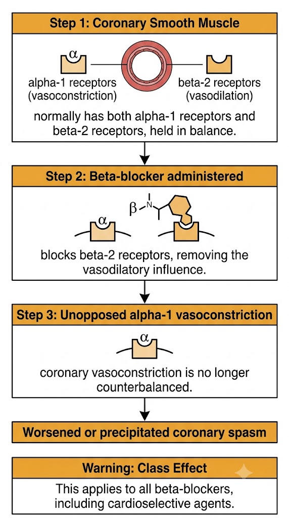 A flow diagram showing how beta-blockade removes beta-2-mediated coronary vasodilation, leaving alpha-1-mediated vasoconstriction unopposed and worsening coronary spasm.