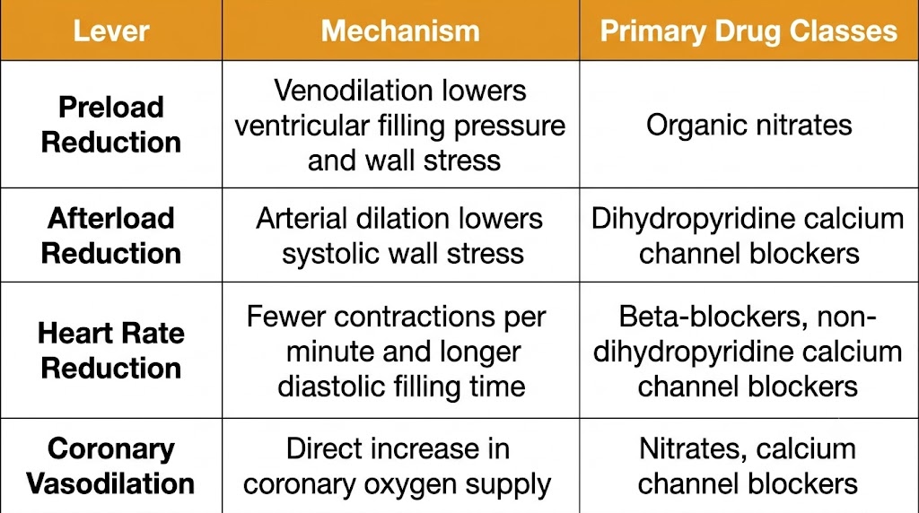 A reference table listing the four hemodynamic levers of antianginal therapy: preload reduction, afterload reduction, heart rate reduction, and coronary vasodilation, with their mechanisms and primary drug classes.