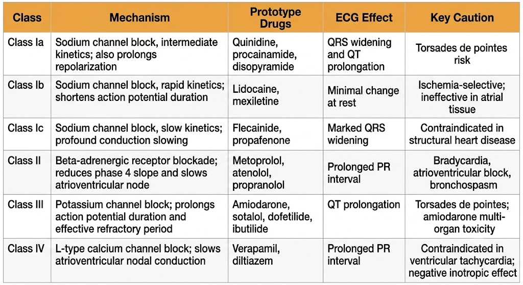 Reference table summarizing the Vaughan Williams classification of antiarrhythmic drugs with six rows covering Class Ia, Class Ib, Class Ic, Class II, Class III, and Class IV, showing mechanism, prototype drugs, electrocardiogram effect, and key caution for each class.
