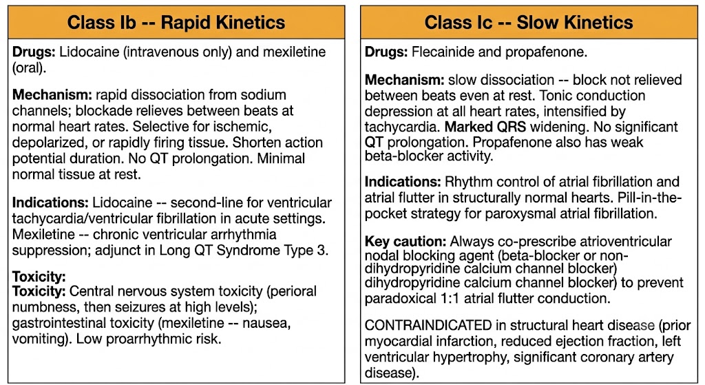 Two-panel comparison diagram contrasting Class Ib agents on the left showing rapid kinetics with lidocaine and mexiletine, and Class Ic agents on the right showing slow kinetics with flecainide and propafenone, including mechanisms, indications, and the structural heart disease contraindication.
