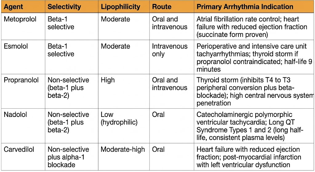 Reference table comparing five beta-blocker agents used in arrhythmia management — metoprolol, esmolol, propranolol, nadolol, and carvedilol — with columns for selectivity, lipophilicity, route, and primary arrhythmia indication.