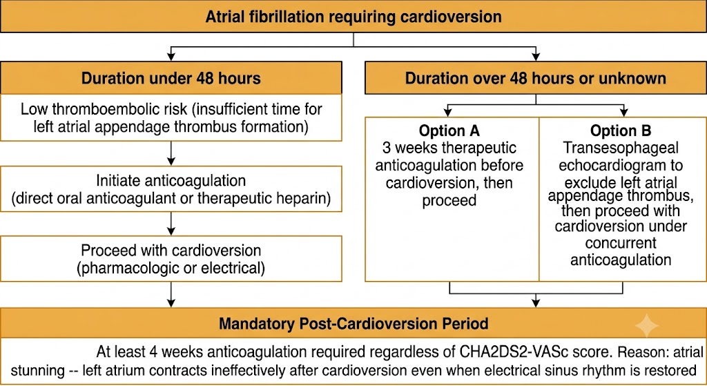 Flow diagram showing peri-cardioversion anticoagulation with two pathways: duration under 48 hours allowing immediate cardioversion after anticoagulation initiation, and duration over 48 hours or unknown with Option A of 3 weeks pre-cardioversion anticoagulation or Option B of transesophageal echocardiogram, both converging on mandatory 4-week post-cardioversion anticoagulation because of atrial stunning.
