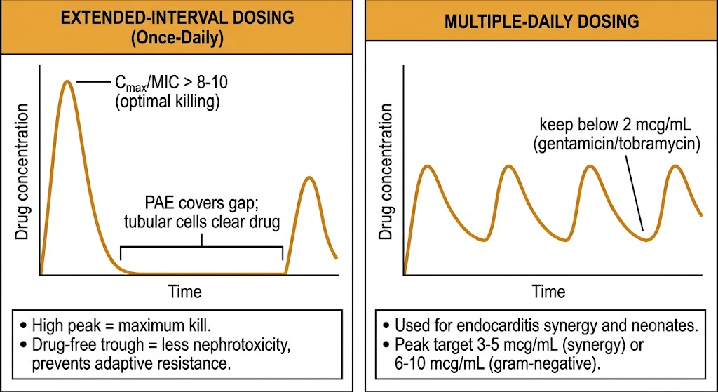 Two-panel diagram contrasting extended-interval once-daily dosing (high Cmax/MIC peak with drug-free trough) versus multiple-daily dosing (lower repeated peaks with sustained troughs), with pharmacodynamic targets and clinical indications for each strategy.