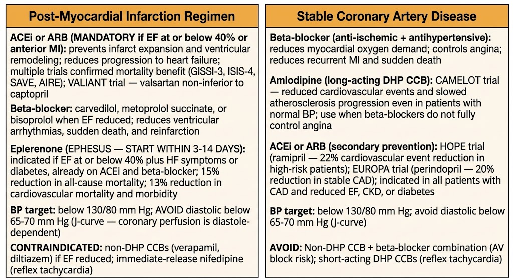 Two-panel diagram comparing post-myocardial infarction pharmacological regimen on the left including mandatory ACEi or ARB, beta-blocker, and eplerenone with EPHESUS evidence, and stable coronary artery disease drug selection on the right including beta-blocker, amlodipine with CAMELOT evidence, and secondary prevention with ACEi or ARB.