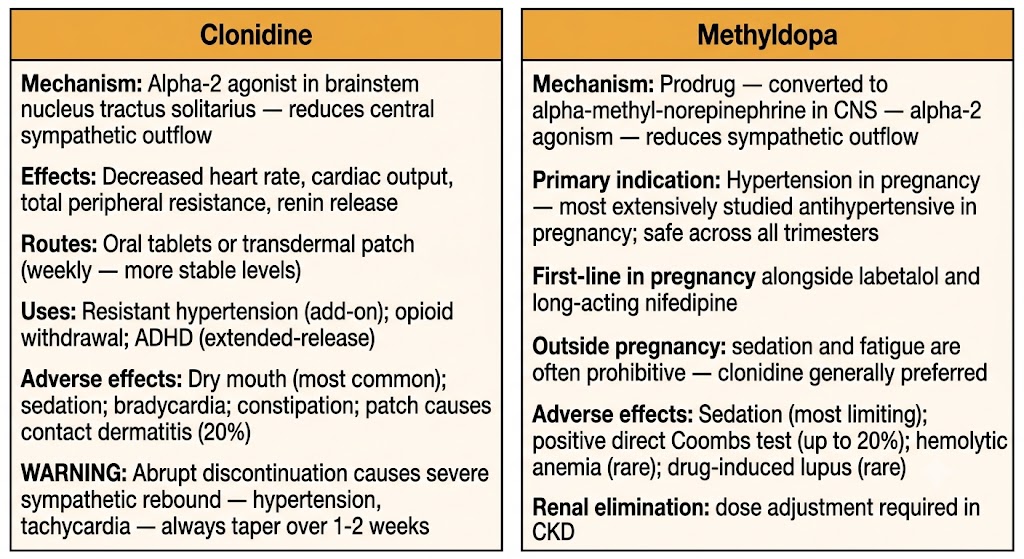 Two-panel comparison of clonidine and methyldopa showing mechanism, uses, adverse effects, and withdrawal warning for clonidine, and pregnancy indication, adverse effects, and renal elimination for methyldopa.