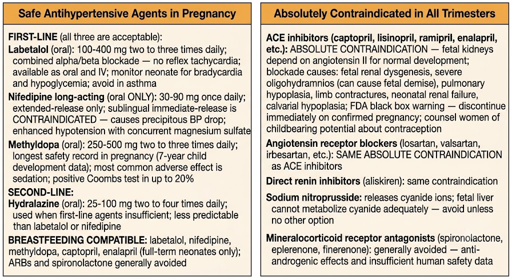 Two-panel diagram showing safe antihypertensive agents in pregnancy on the left including labetalol, long-acting nifedipine, and methyldopa, and absolutely contraindicated agents on the right including ACE inhibitors, ARBs, and sodium nitroprusside with fetal harm mechanisms.