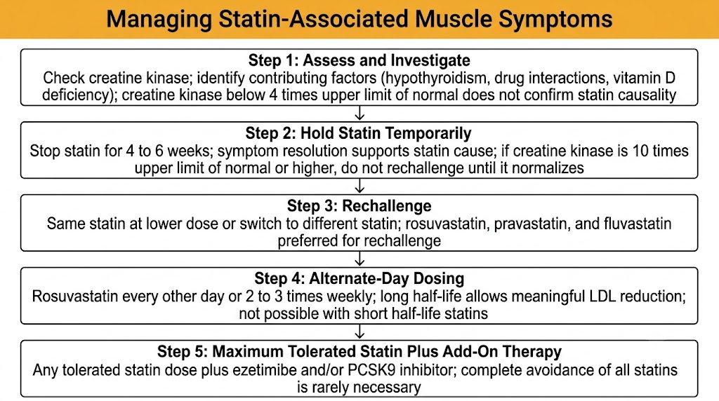 Five-step vertical flow diagram for managing statin-associated muscle symptoms: step 1 assess and check creatine kinase, step 2 hold statin for 4 to 6 weeks, step 3 rechallenge with same or different statin, step 4 try alternate-day rosuvastatin, step 5 use maximum tolerated statin plus ezetimibe and/or PCSK9 inhibitor.