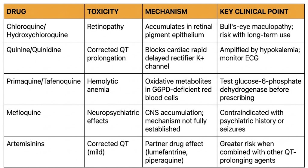 Reference table of antimalarial drug toxicities showing drug, toxicity type, mechanism, and key clinical point for chloroquine/hydroxychloroquine, quinine/quinidine, primaquine/tafenoquine, mefloquine, and artemisinins.