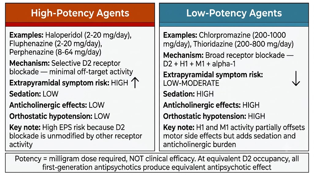 Two-panel comparison diagram showing high-potency first-generation antipsychotics (haloperidol, fluphenazine, perphenazine) with selective D2 blockade, high extrapyramidal symptom risk, and low sedation versus low-potency agents (chlorpromazine, thioridazine) with broad receptor blockade, lower extrapyramidal symptom risk, and high sedation and anticholinergic burden, with a shared rule box clarifying that potency refers to milligram dose required, not clinical efficacy.