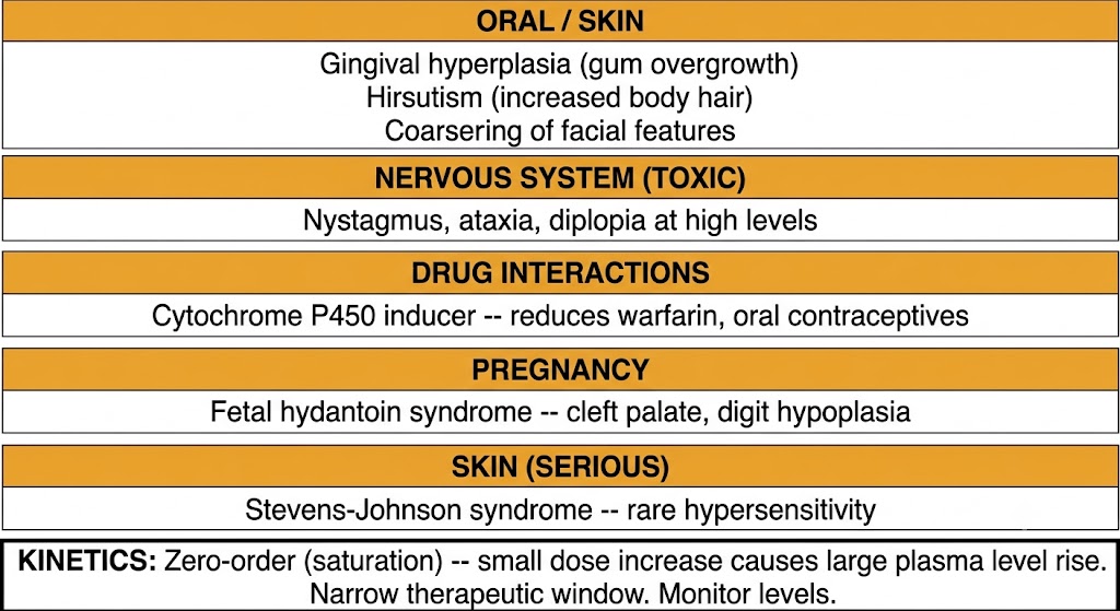 Organ-system summary of phenytoin adverse effects: gingival hyperplasia, hirsutism, and coarsening of facial features; nystagmus, ataxia, and diplopia at toxic levels; cytochrome P450 induction reducing warfarin and oral contraceptive efficacy; fetal hydantoin syndrome in pregnancy; Stevens-Johnson syndrome; and a kinetics note on zero-order saturation requiring level monitoring.