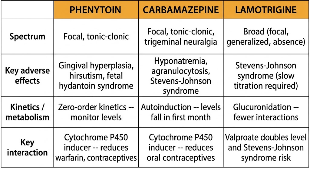 Three-column comparison table of phenytoin, carbamazepine, and lamotrigine across seizure spectrum, key adverse effects, kinetics and metabolism, and key drug interaction.