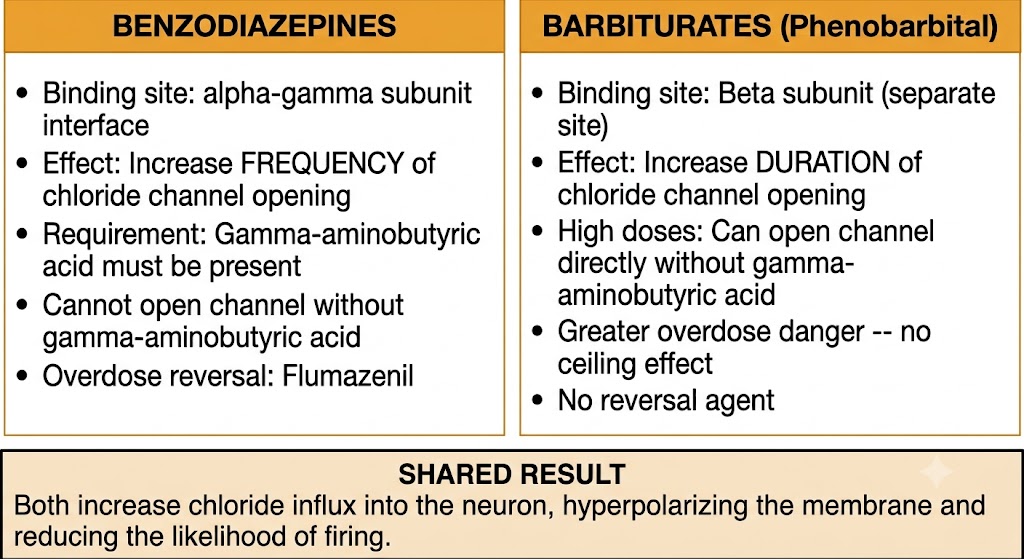 Two-panel comparison of benzodiazepine and barbiturate mechanisms at the gamma-aminobutyric acid type A receptor. Benzodiazepines bind the alpha-gamma interface, increase frequency of chloride channel opening, require gamma-aminobutyric acid, and are reversed by flumazenil. Barbiturates bind the beta subunit, increase duration of channel opening, can directly open the channel at high doses, and have no reversal agent. Shared result: both increase chloride influx, hyperpolarizing the membrane.