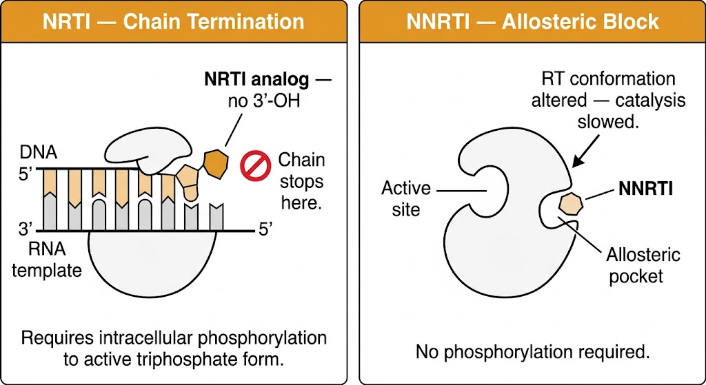 NRTI chain termination versus NNRTI allosteric block diagram
