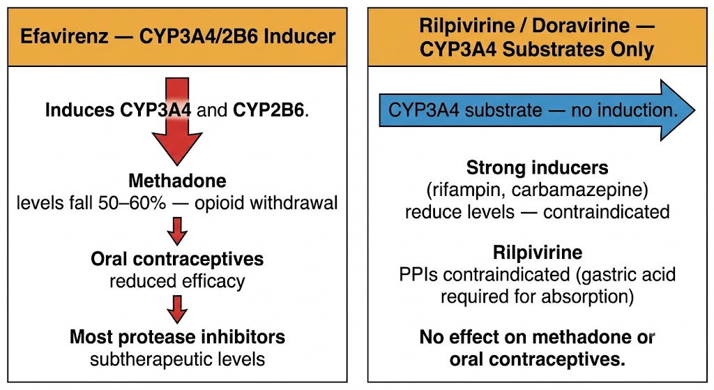 Efavirenz CYP inducer versus rilpivirine doravirine substrates diagram