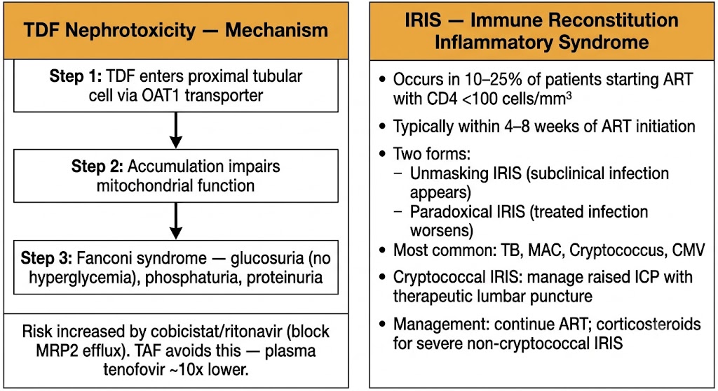 TDF nephrotoxicity mechanism and IRIS syndrome