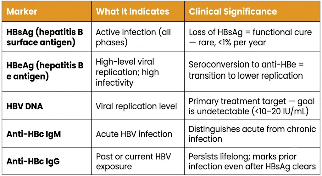 HBV serological markers table