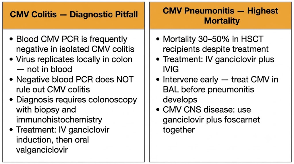 CMV colitis diagnostic pitfall and CMV pneumonitis management