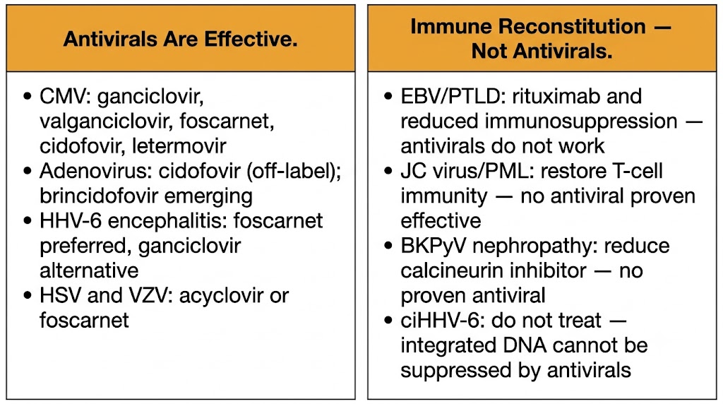 Antivirals are effective versus immune reconstitution is the intervention
