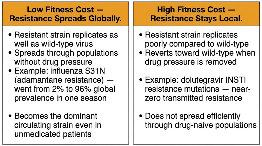 Low fitness cost resistance spreads globally versus high fitness cost resistance stays local