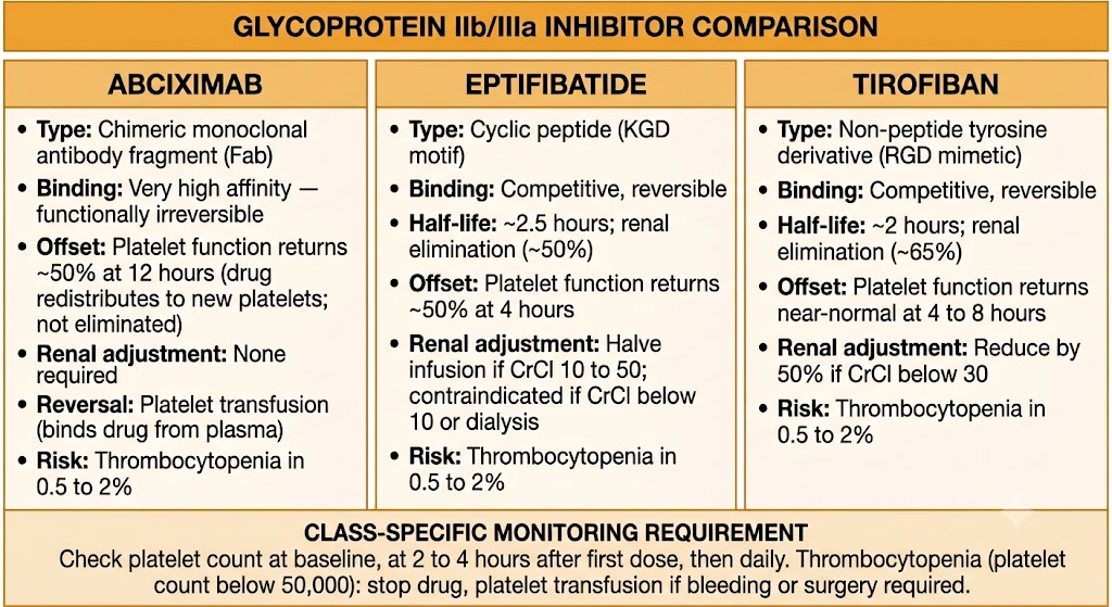 Three-panel comparison of glycoprotein IIb/IIIa inhibitors. Abciximab: chimeric monoclonal antibody fragment, functionally irreversible, offset 50% at 12 hours via redistribution, no renal adjustment, reversal by platelet transfusion, thrombocytopenia risk 0.5 to 2%. Eptifibatide: cyclic peptide, competitive reversible, half-life 2.5 hours, renal elimination 50%, offset 50% at 4 hours, halve infusion if creatinine clearance 10 to 50, contraindicated below 10 or dialysis. Tirofiban: non-peptide tyrosine derivative, competitive reversible, half-life 2 hours, renal elimination 65%, offset near-normal at 4 to 8 hours, reduce by 50% if creatinine clearance below 30. Shared monitoring box: check platelet count at baseline, 2 to 4 hours after first dose, then daily; stop drug and transfuse platelets if count falls below 50,000.
