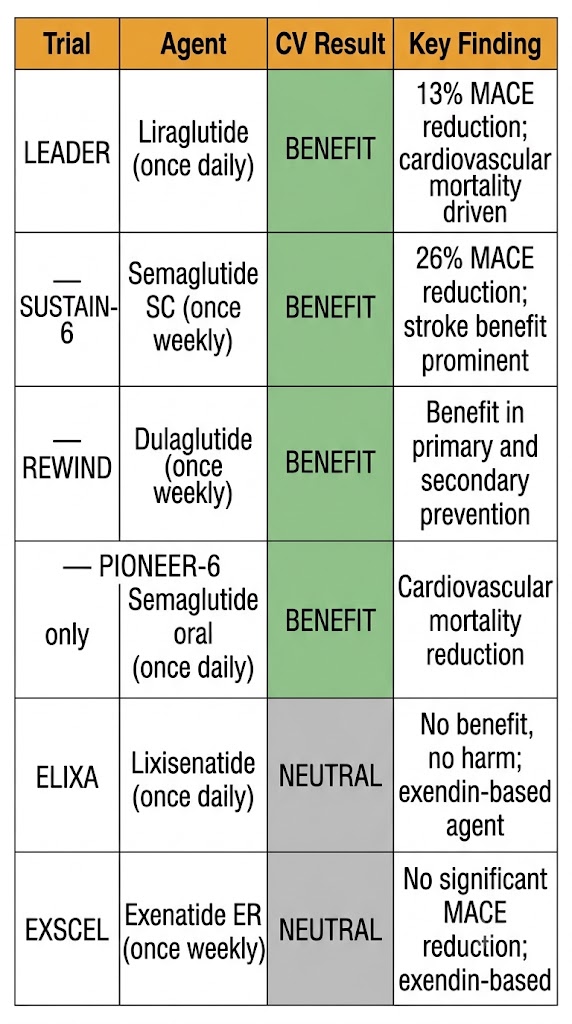 Reference table of GLP-1 receptor agonist cardiovascular outcome trials showing BENEFIT for LEADER (liraglutide, 13% MACE reduction), SUSTAIN-6 (semaglutide SC, 26% MACE reduction), REWIND (dulaglutide, primary and secondary prevention benefit), and PIONEER-6 (semaglutide oral, cardiovascular mortality reduction); and NEUTRAL for ELIXA (lixisenatide) and EXSCEL (exenatide ER), both exendin-based agents.