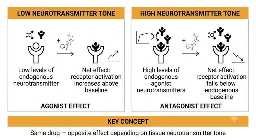 Two-panel diagram showing ergot partial agonism producing an agonist effect in low-tone tissue and an antagonist effect in high-tone tissue.