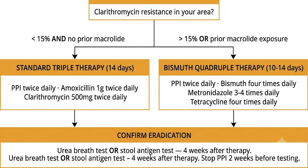 Decision tree for selecting Helicobacter pylori eradication regimen based on local clarithromycin resistance rate