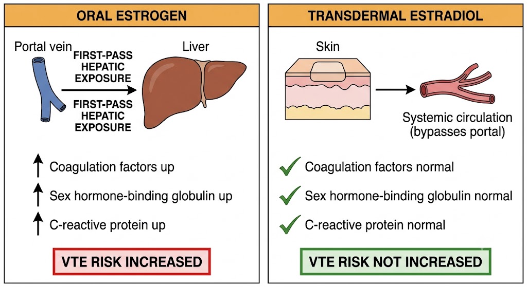 Two-panel diagram comparing oral estrogen (portal vein to liver with first-pass hepatic exposure, coagulation factors up, VTE risk increased) versus transdermal estradiol (skin to systemic circulation bypassing portal, coagulation factors normal, VTE risk not increased).