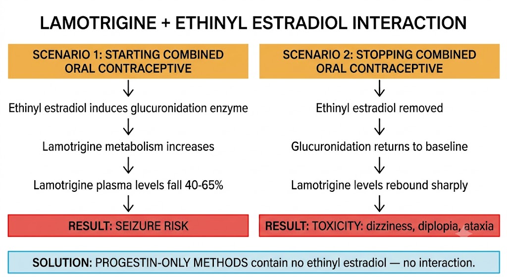 Flow diagram showing the bidirectional lamotrigine-ethinyl estradiol interaction: starting combined oral contraceptive induces glucuronidation causing lamotrigine levels to fall 40-65 percent with seizure risk; stopping it causes levels to rebound with toxicity. Solution: progestin-only methods have no interaction.