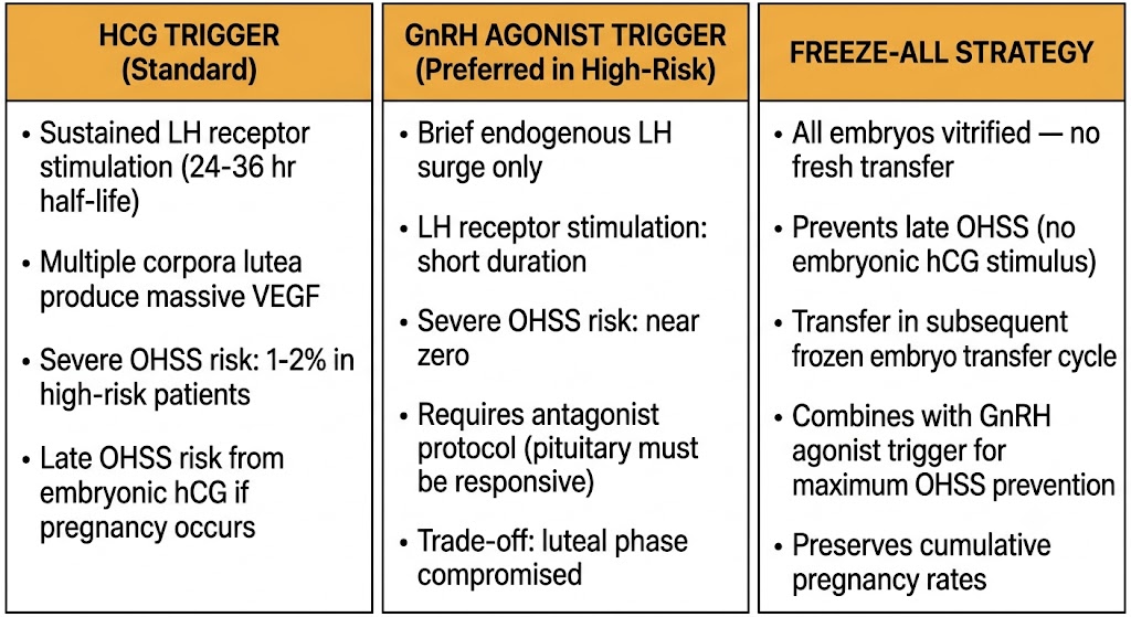 Three-panel comparison of OHSS prevention strategies: hCG trigger (sustained LH receptor stimulation, massive VEGF, 1-2% severe OHSS risk, late OHSS from embryonic hCG), GnRH agonist trigger preferred in high-risk (brief endogenous LH surge, near-zero severe OHSS, requires antagonist protocol, luteal phase compromised), and freeze-all strategy (all embryos vitrified, prevents late OHSS, transfer in subsequent cycle, preserves cumulative pregnancy rates).