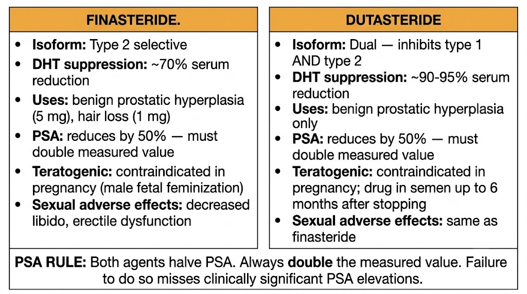 Two-panel comparison of finasteride (type 2 selective, 70% DHT suppression, approved for benign prostatic hyperplasia and hair loss, PSA halved, teratogenic) versus dutasteride (dual type 1 and 2, 90-95% DHT suppression, approved for benign prostatic hyperplasia only, PSA halved, drug in semen up to 6 months) with shared PSA rule box: always double the measured PSA value.