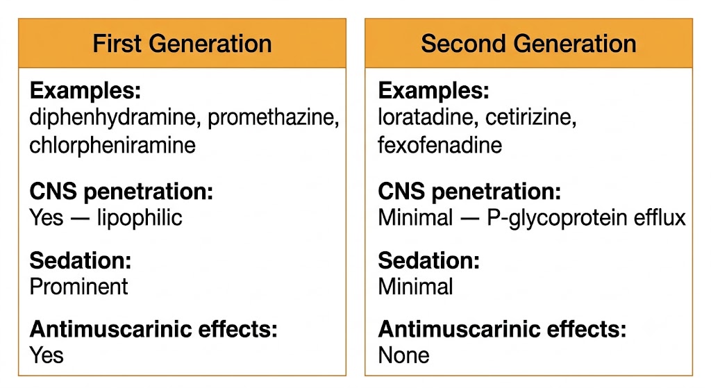 Two-panel comparison: left panel shows first-generation antihistamines with examples, prominent central nervous system penetration, prominent sedation, and antimuscarinic effects; right panel shows second-generation agents with minimal central nervous system penetration via P-glycoprotein efflux, minimal sedation, and no antimuscarinic effects.