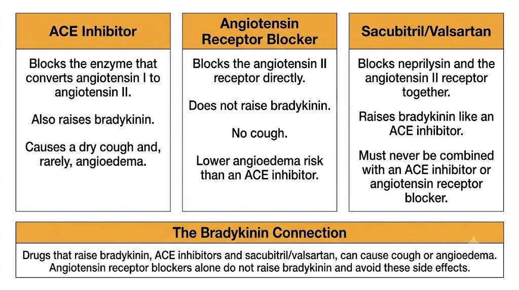 A three-panel comparison diagram of ACE inhibitors, angiotensin receptor blockers, and sacubitril/valsartan, showing that ACE inhibitors and sacubitril/valsartan raise bradykinin and can cause cough or angioedema, while angiotensin receptor blockers do not.