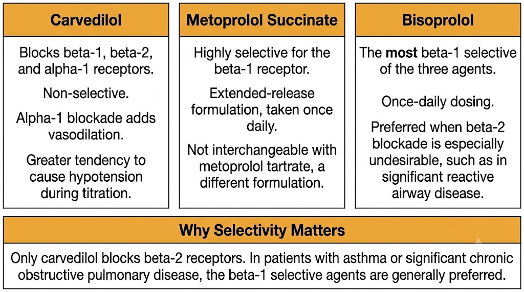 A three-panel comparison diagram of carvedilol, metoprolol succinate, and bisoprolol, showing that carvedilol is non-selective with added alpha-1 blockade while metoprolol succinate and bisoprolol are beta-1 selective.