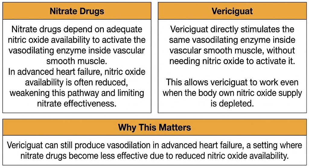 A two-panel diagram contrasting nitrate drugs, which depend on nitric oxide availability and lose effectiveness in advanced heart failure, with vericiguat, which directly activates the same vasodilating enzyme without requiring nitric oxide.