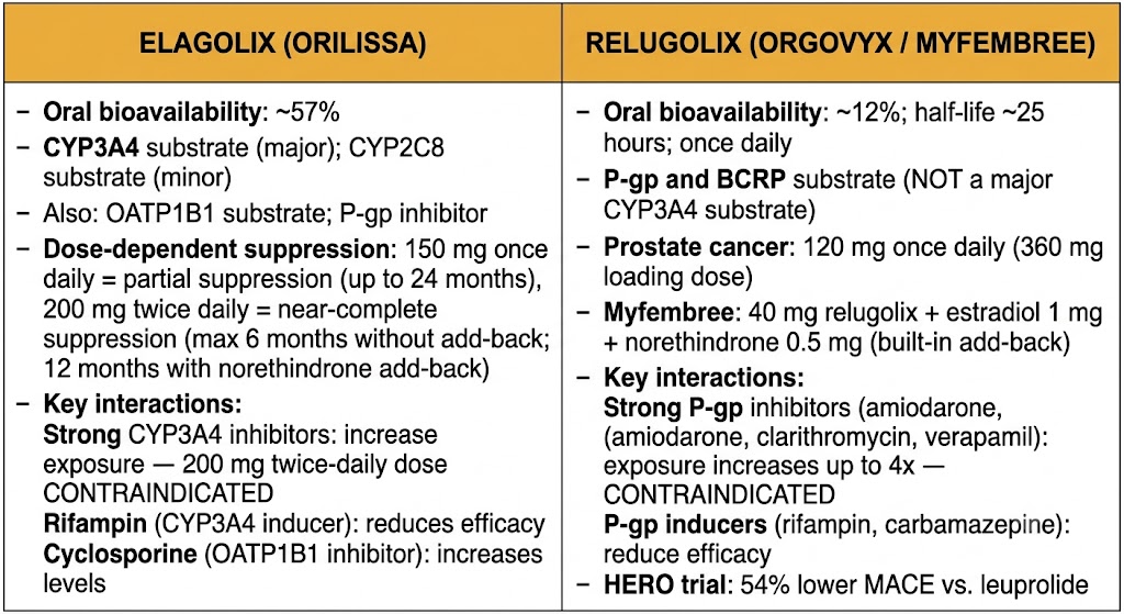 Two-panel comparison of elagolix and relugolix showing oral bioavailability, metabolic pathways, drug interactions, dosing regimens, and key clinical trial results.