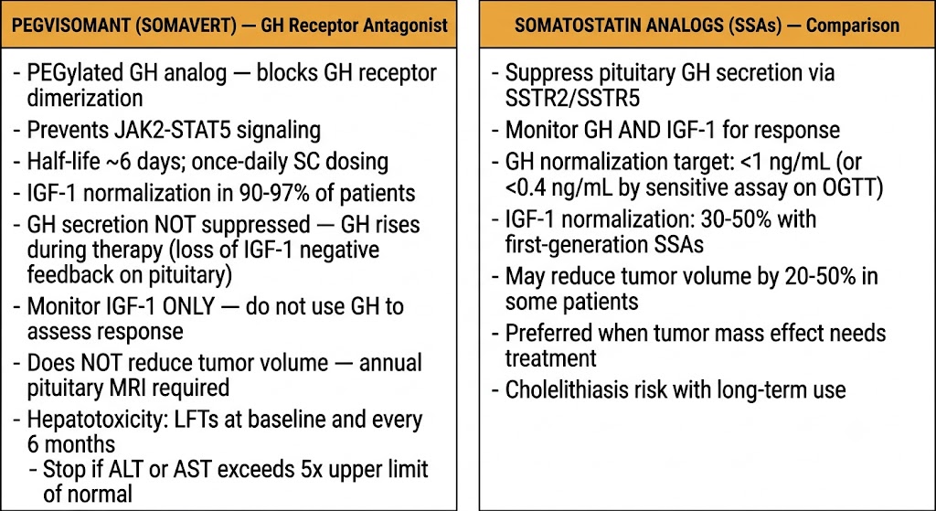 Two-panel comparison of pegvisomant and somatostatin analogs showing mechanism, monitoring markers, tumor volume effects, and hepatotoxicity surveillance requirements.