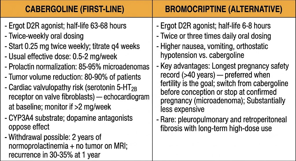Two-panel comparison of cabergoline and bromocriptine showing receptor affinity, dosing intervals, efficacy rates, cardiac valvulopathy risk, pregnancy safety profiles, and withdrawal criteria.