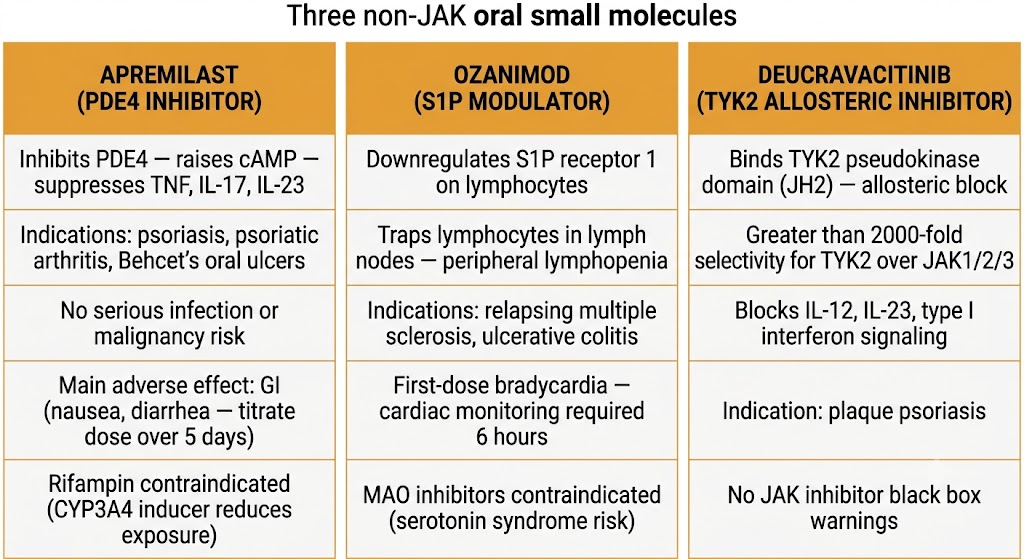 Three-panel comparison of non-JAK oral small molecules: left panel apremilast (PDE4 inhibitor raising cAMP to suppress TNF/IL-17/IL-23, approved for psoriasis/PsA/Behcet's, no serious infection or malignancy risk, GI adverse effects managed with 5-day titration, rifampin contraindicated); center panel ozanimod (S1P receptor 1 modulator trapping lymphocytes in lymph nodes, approved for relapsing MS and UC, first-dose bradycardia requiring 6-hour monitoring, MAO inhibitors contraindicated for serotonin syndrome); right panel deucravacitinib (TYK2 allosteric JH2 pseudokinase inhibitor with greater than 2000-fold TYK2 selectivity, blocks IL-12/IL-23/type I IFN, approved for plaque psoriasis, no JAK inhibitor black box warnings).