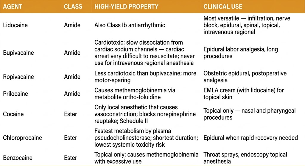 Reference table listing seven local anesthetic agents with their class, high-yield property, and clinical use: lidocaine as Class Ib antiarrhythmic, bupivacaine cardiotoxicity, ropivacaine motor-sparing, prilocaine methemoglobinemia, cocaine vasoconstriction, chloroprocaine shortest duration, benzocaine topical only with methemoglobinemia risk.