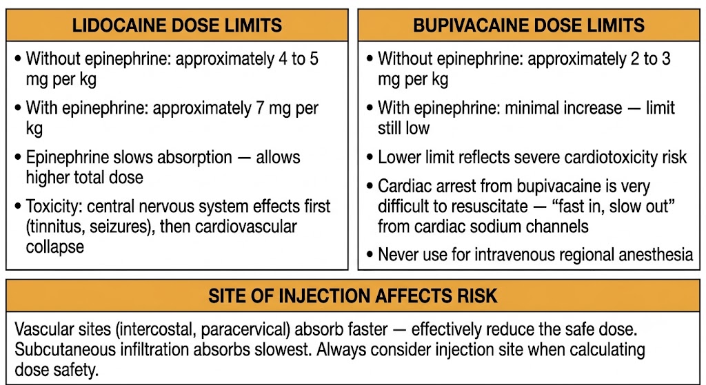 Two-panel diagram comparing lidocaine dose limits (4 to 5 mg per kg without epinephrine, 7 mg per kg with epinephrine) versus bupivacaine dose limits (2 to 3 mg per kg, minimal increase with epinephrine, severe cardiotoxicity risk), with a shared box on how injection site vascularity affects risk.