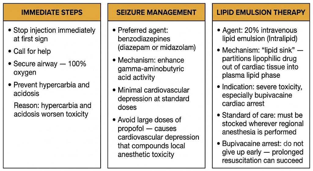 Three-panel diagram showing treatment of systemic local anesthetic toxicity: immediate steps (stop injection, airway, oxygen), seizure management (benzodiazepines preferred, avoid large propofol doses), and lipid emulsion therapy (20% intravenous lipid emulsion, lipid sink mechanism, standard of care for bupivacaine cardiac arrest).
