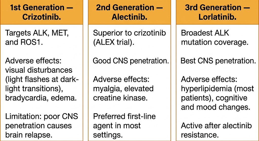 Three-panel comparison of ALK inhibitor generations: crizotinib (1st), alectinib (2nd), and lorlatinib (3rd), showing targets, efficacy, and adverse effects for each.