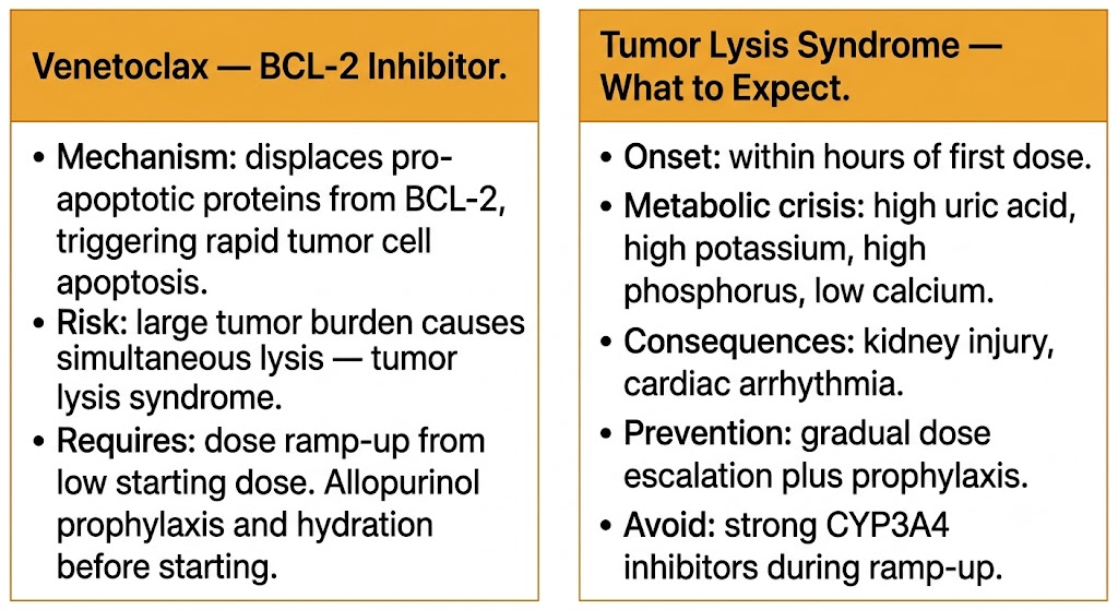 Two-panel diagram showing venetoclax BCL-2 inhibitor mechanism triggering tumor lysis syndrome, and the metabolic consequences with prevention approach including dose ramp-up and allopurinol prophylaxis.