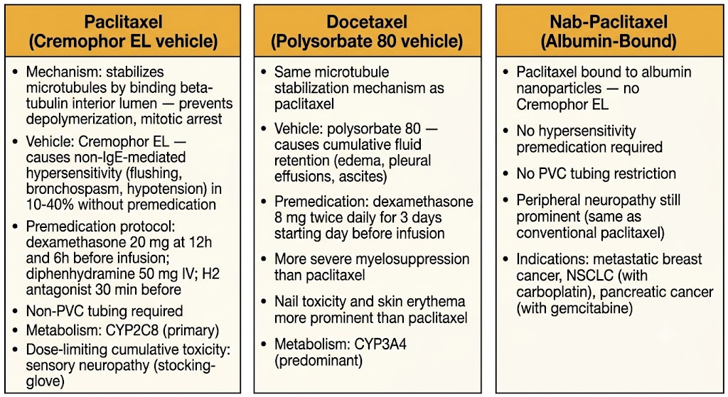 Three-panel taxane comparison. Paclitaxel panel: stabilizes microtubules by binding beta-tubulin interior lumen preventing depolymerization and causing mitotic arrest; Cremophor EL vehicle causes non-IgE-mediated hypersensitivity in 10-40% without premedication; premedication protocol requires dexamethasone 20 mg at 12h and 6h before plus diphenhydramine 50 mg IV plus H2 antagonist 30 min before; non-PVC tubing required; CYP2C8 primary metabolism; dose-limiting cumulative toxicity is sensory neuropathy in stocking-glove distribution. Docetaxel panel: same microtubule stabilization mechanism; polysorbate 80 vehicle causes cumulative fluid retention including edema, pleural effusions, and ascites; premedication is dexamethasone 8 mg twice daily for 3 days starting day before; more severe myelosuppression than paclitaxel; nail toxicity and skin erythema more prominent; CYP3A4 predominant metabolism. Nab-paclitaxel panel: paclitaxel bound to albumin nanoparticles with no Cremophor EL; no hypersensitivity premedication required; no PVC tubing restriction; peripheral neuropathy still prominent; indications include metastatic breast cancer, NSCLC with carboplatin, and pancreatic cancer with gemcitabine.