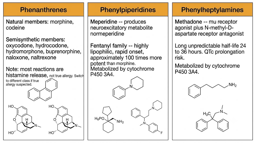 Three-panel diagram comparing the three major opioid chemical families: phenanthrenes including morphine and codeine, phenylpiperidines including meperidine and fentanyl, and phenylheptylamines including methadone.